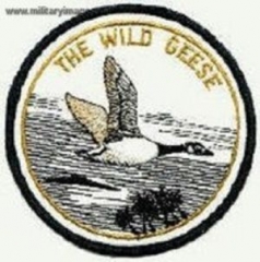 the-wild-geese
