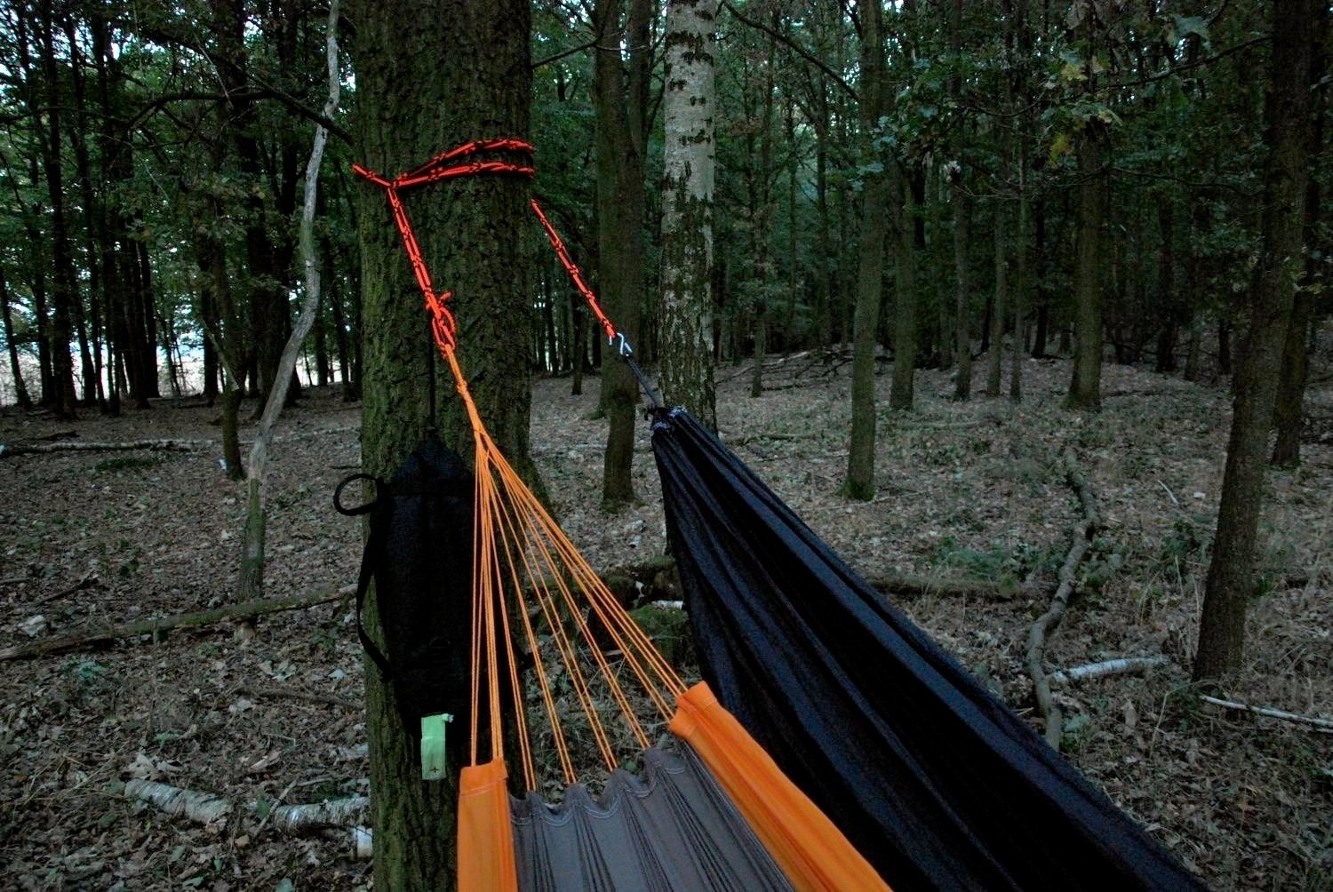 foto12